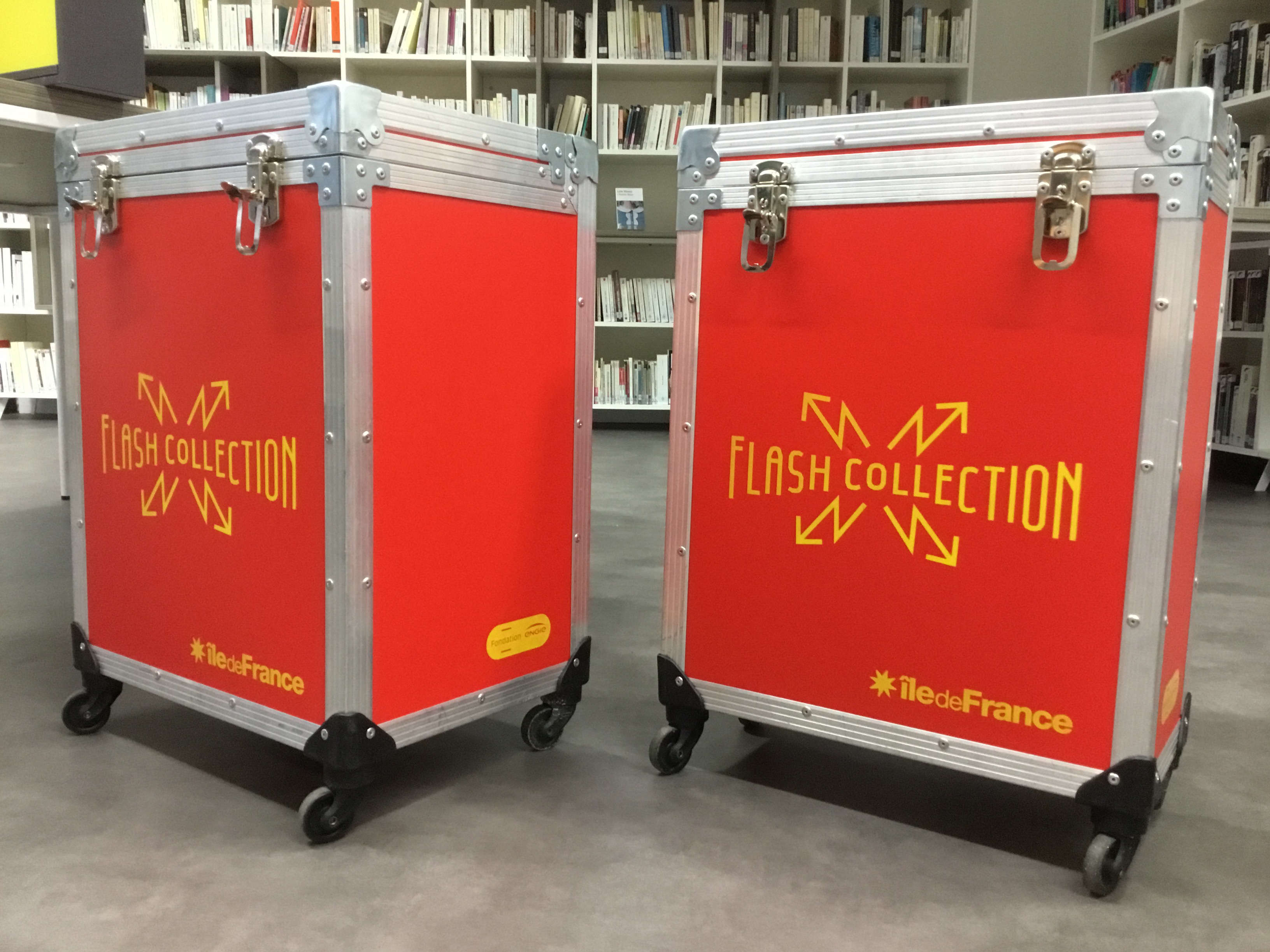 Visuel : Flash collection au CDI du lyce